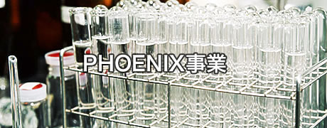 PHOENIX事業